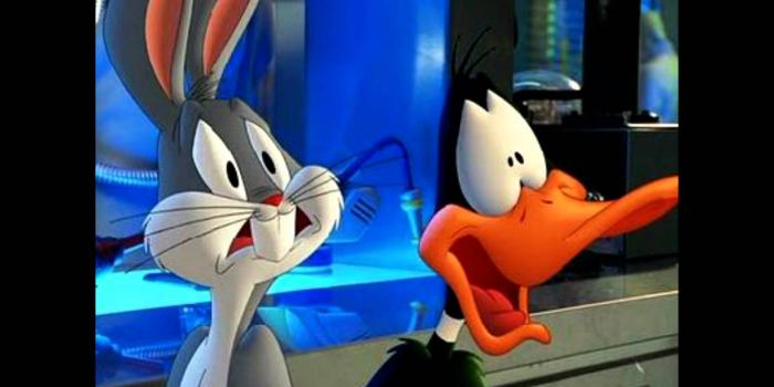1920x1080 Bugs Bunny And Daffy Duck Gangst HD Wallpaper, Background Images