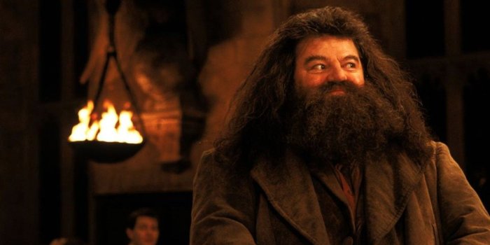 1280x800 I won a dragon. How tough could Snapchat be?” ~Rubeus Hagrid