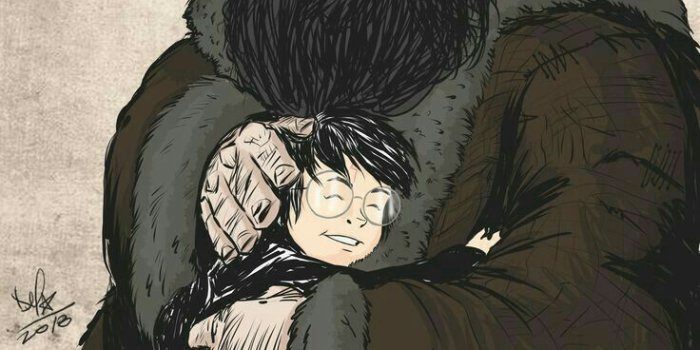 736x1308 Hagrid & Harry | HP & Ilvermorny in 2019 | Harry potter universal