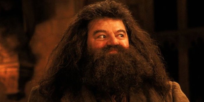 1710x900 Harry Potter: 25 Weird Things About Hagrid Only Super Fans Know