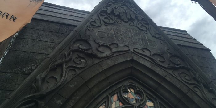 1600x1200 Harry Potter and the More-Than-10-Hour Wait: The #HagridWait Story