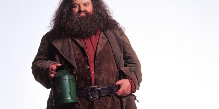 1280x800 Rubeus Hagrid Hintergrund - Hogwarts Professors Hintergrund
