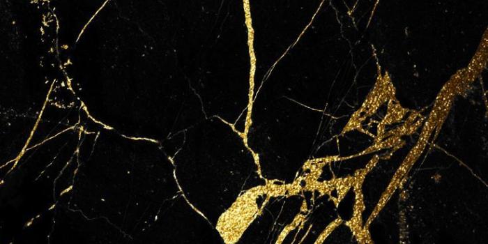 736x1389 99+] Black And Gold Marble Wallpapers on WallpaperSafari