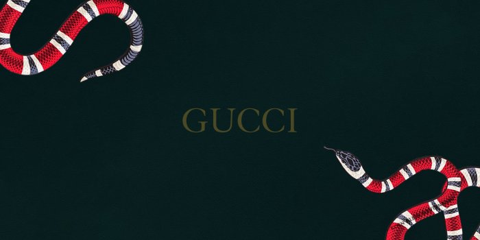 1920x1080 73+] Gucci Logo Wallpaper on WallpaperSafari