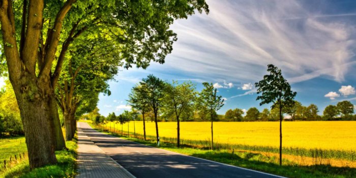 1920x1080 Best Nature Wallpapers