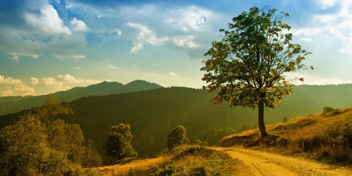 1920x1080 Best HD Nature Backgrounds