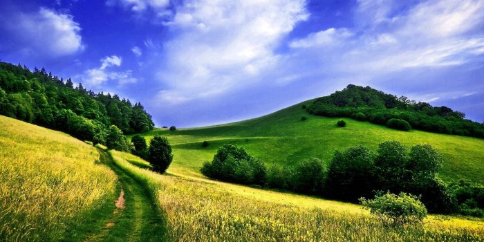 2560x1600 69+ Nature Desktop Wallpapers on WallpaperPlay