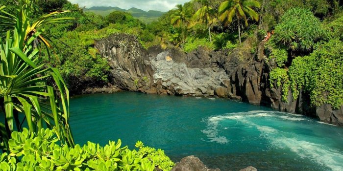 1440x900 Nature Wallpapers For Desktop HD (88+)