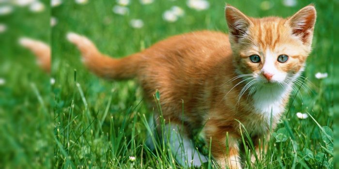 1600x900 Top 10 Punto Medio Noticias | Best Desktop Computer Wallpaper Hd