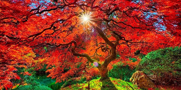 1600x900 Best Nature Wallpaper Hd Free Wallpaper & Backgrounds