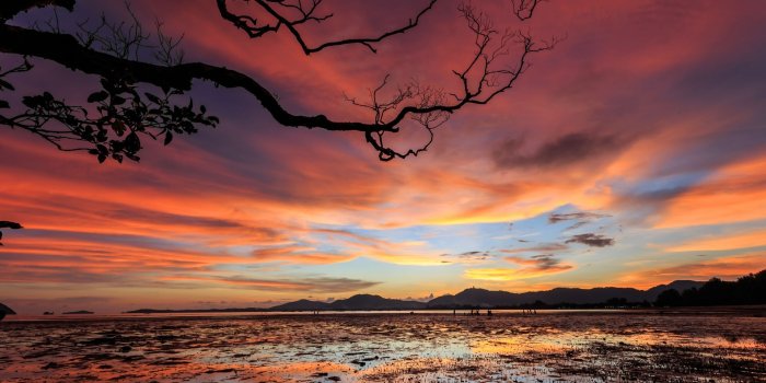 1920x1080 Nature HD Wallpapers & Images 4k & 8k Resolution