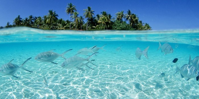 1920x1080 Nature Wallpapers Backgrounds (68+ background pictures)