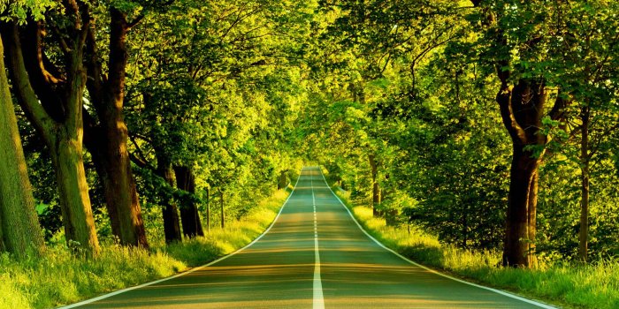 1920x1080 Nature Wallpaper HD Desktop