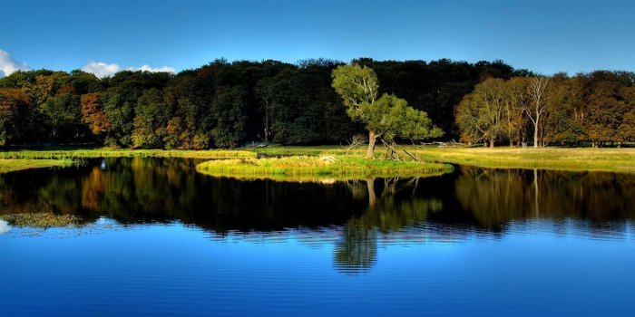 1920x1080 Nature Computer Wallpapers (75+ background pictures)