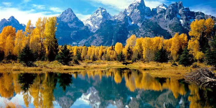 1920x1080 HD Nature Wallpapers 1080p (74+ pictures)