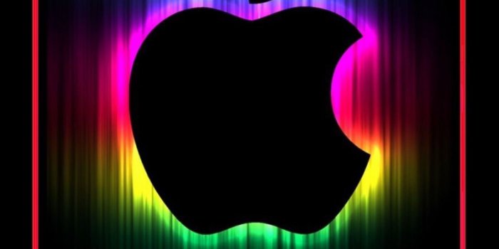 1419x3072 