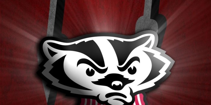 1080x1920 62+ Wisconsin Badger Wallpapers on WallpaperPlay