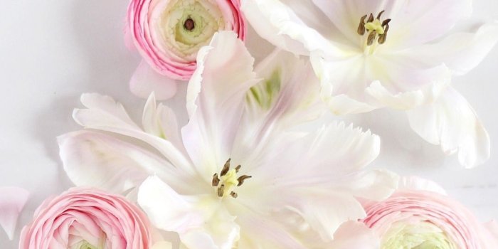 1080x1920 Artistic / Flower Mobile Wallpaper - Iphone 7 Wallpaper Flower