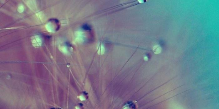 736x1308 Lock Screen Wallpaper App - Lock Screen Background Iphone 6 (#562628