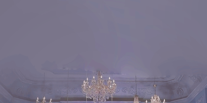 700x1245 29+] BTS Blood, Sweat And Tears Wallpapers on WallpaperSafari