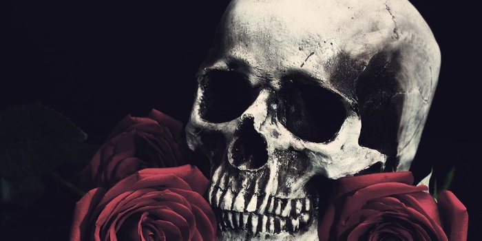 1000x800 eletragesi: Black Roses And Skulls Images