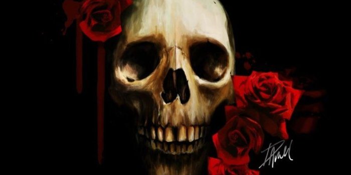 755x1057 Skulls and Roses Wallpapers - Top Free Skulls and Roses Backgrounds