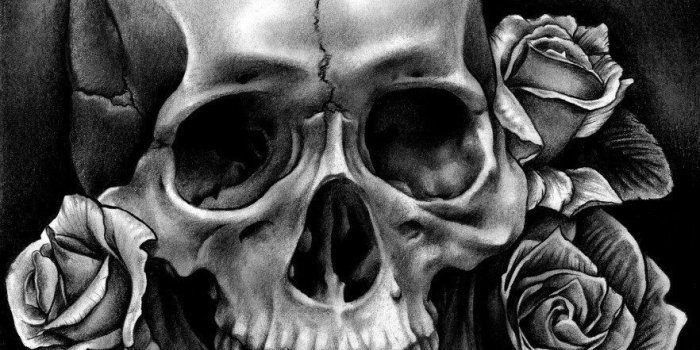 882x1024 Skull And Roses Wallpapers