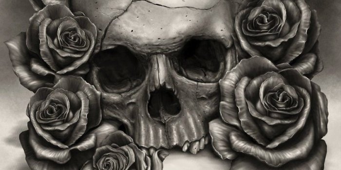 900x1350 Skull And Roses Wallpapers
