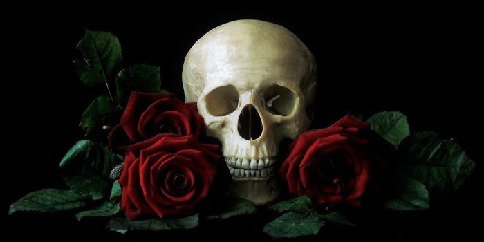 1920x1080 Skull And Roses Wallpapers
