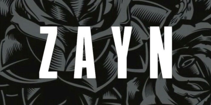 993x1765 zayn // #lockscreen // #wallpaper Icarus Fell, Zayn - Skull And