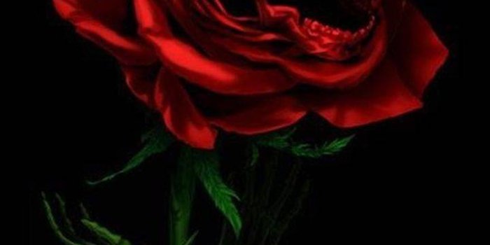 720x1280 Skull And Roses Wallpapers