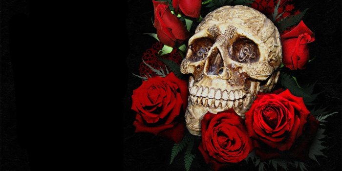 1280x1024 Skull Wallpaper and Background Image | 1280x1024 | ID:119749