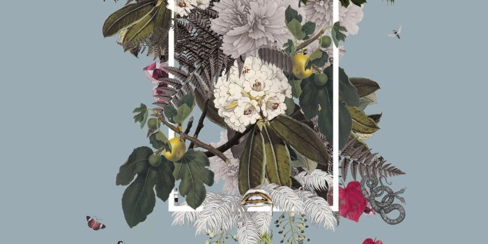 2000x3849 iPhone Wallpaper | White, Flower, Cut flowers, Floristry, Flower