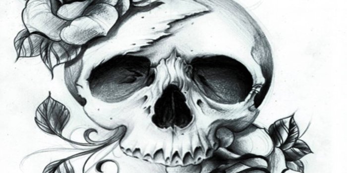 1440x1280 Skull Rose Wallpaper by _Yuva_ - f5 - Free on ZEDGE™