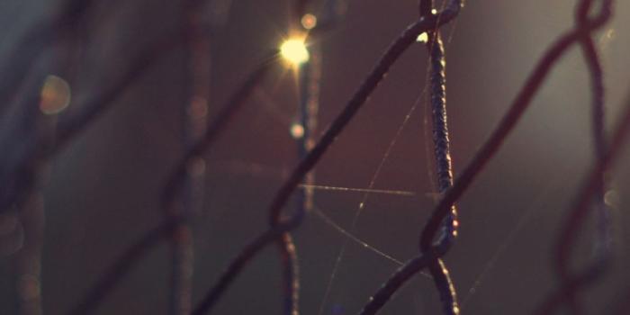 1080x1920 Barbwire Fence Lockscreen iPhone 6 Plus HD Wallpaper HD - Free