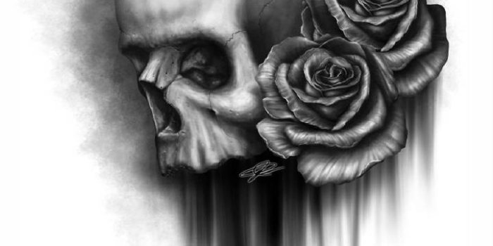 720x1280 Skull rose Wallpaper by Skate_boY - f7 - Free on ZEDGE™