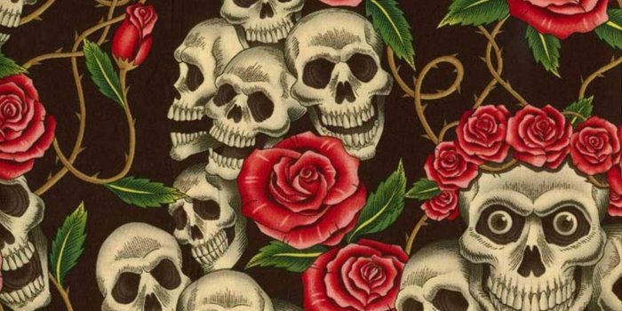 1288x931 40+ Skull and Flower Wallpapers - Download at WallpaperBro