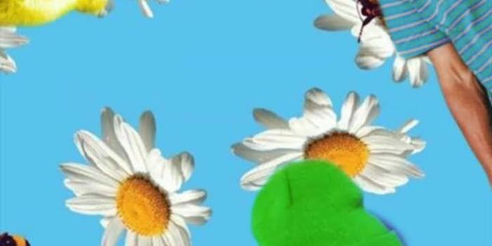 719x1280 Tyler The Creator Wallpaper by SheLuvLxngston_ - 46 - Free on ZEDGE™