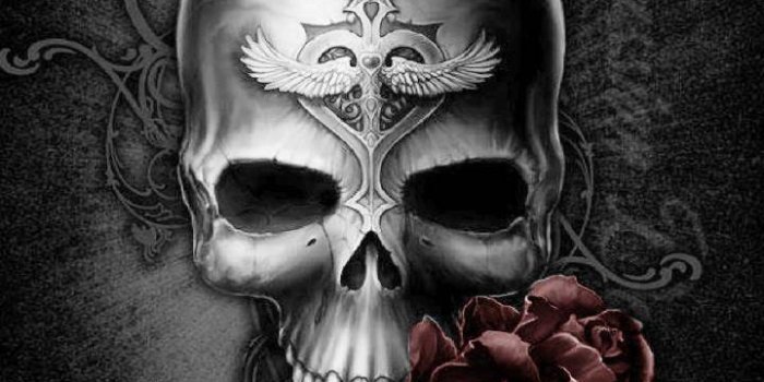 720x1280 Skull with rose Wallpaper by Alex0704 - df - Free on ZEDGE™