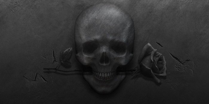 1332x850 Wallpaper metal, cracked, rose, skull, black background images for