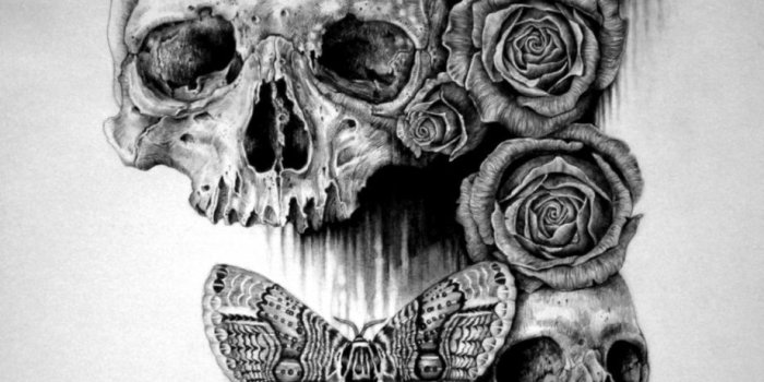 921x1269 Rose And Skull Drawing Tumblr | Amazing Wallpapers