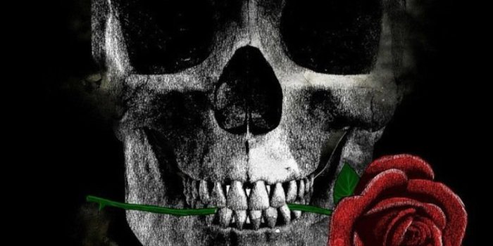 750x1334 Skull With Flowers Iphone Wallpaper - Flowers Healthy