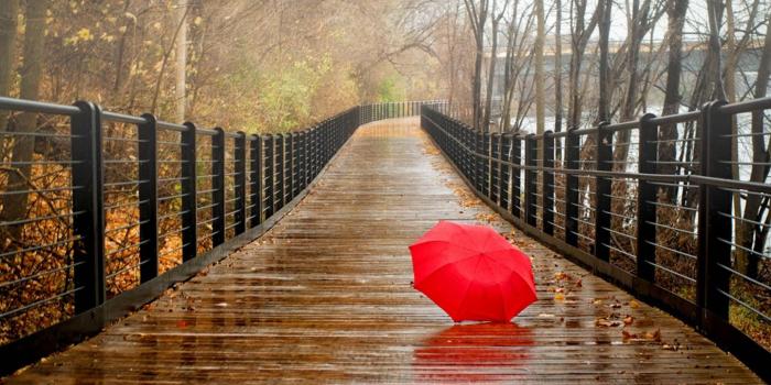 1440x900 Rainy Day, (1440x900-0.42 Mb) download free on