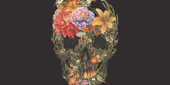 1024x1024 Flower Skull Wallpaper Hd - Flowers Healthy