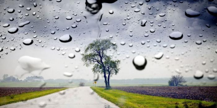 1024x768 Momentos Danocas: Rainy Day Wallpapers One HD Wallpaper Pictures