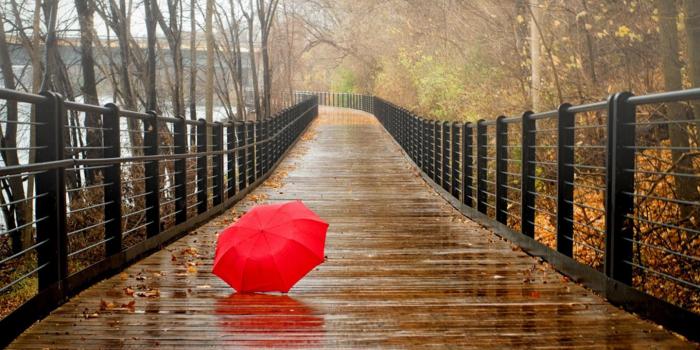 1440x900 Free download Rainy Day HD Wallpapers [1440x900] for your Desktop