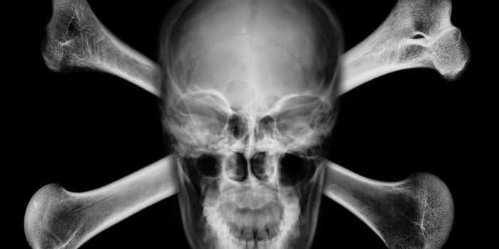 1280x1280 724 Skull HD Wallpapers | Background Images