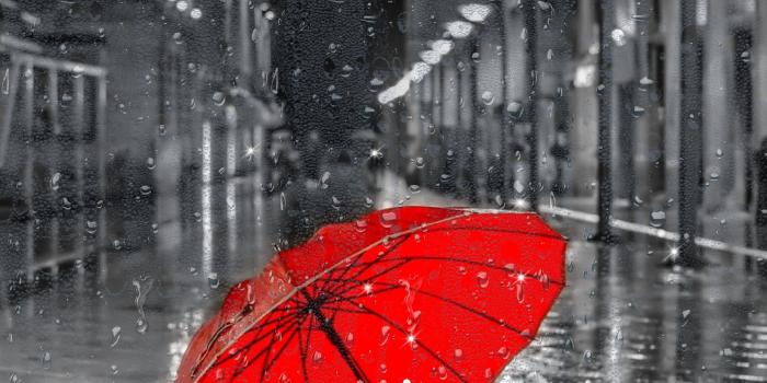 2048x1536 Rainy Day HD Live Wallpaper for Android - APK Download