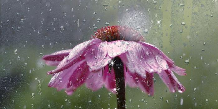 2048x1536 Rainy Day HD Live Wallpaper for Android - APK Download