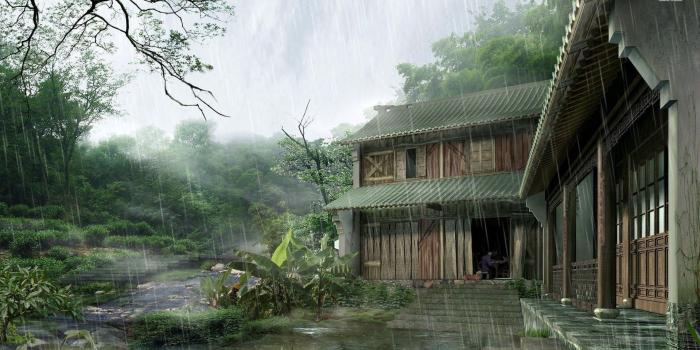 1920x1080 Brown and gray house near tall trees during rainy day HD wallpaper